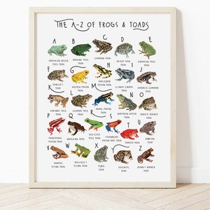 A-Z of Frogs & Toads Poster, Frogs Alphabet, Types of Frogs Print, Frogs Illustration, Frog Lovers Gift, Frog Poster, Frog Print, Cute Frogs