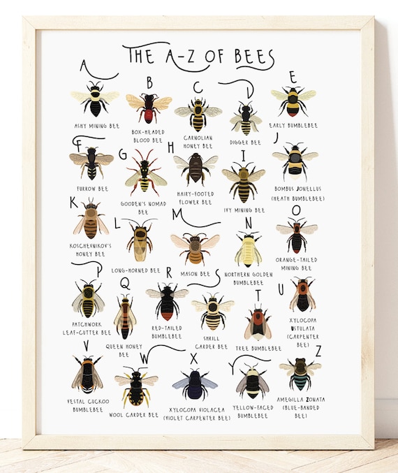 Printable Images Of Bees Free BEE Coloring Pages For Download