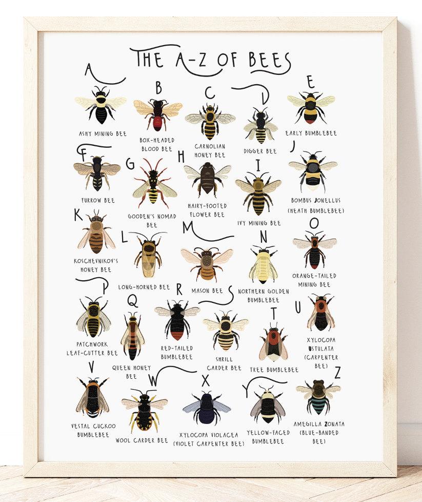 Types of bee breeds of bee poster canvas