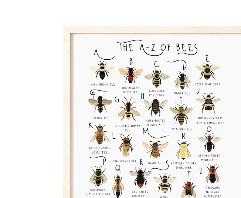 Bee Alphabet Letters Printable