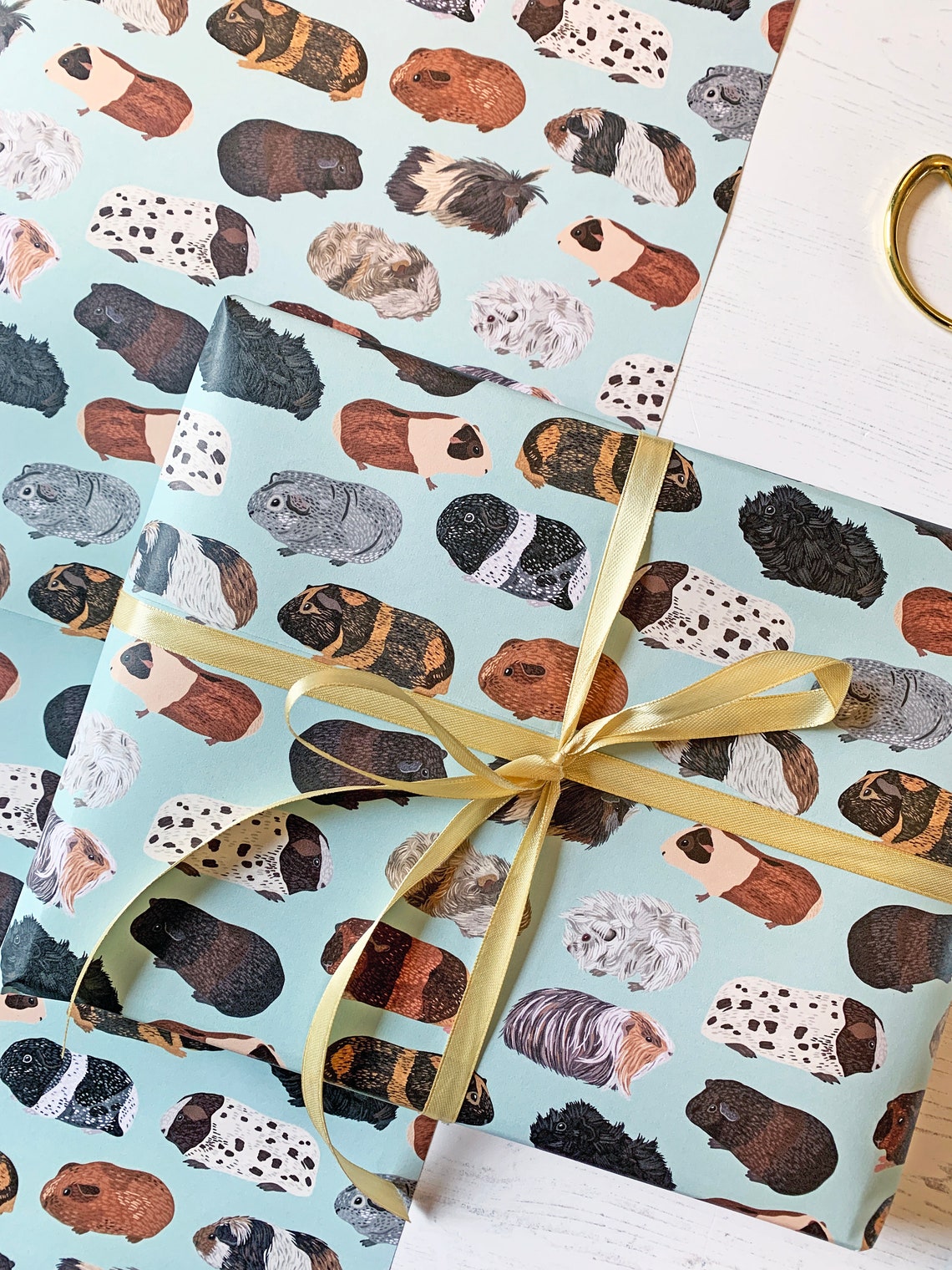 Guinea Pig Wrapping Paper Types of Guinea Pigs Guinea Pig Etsy