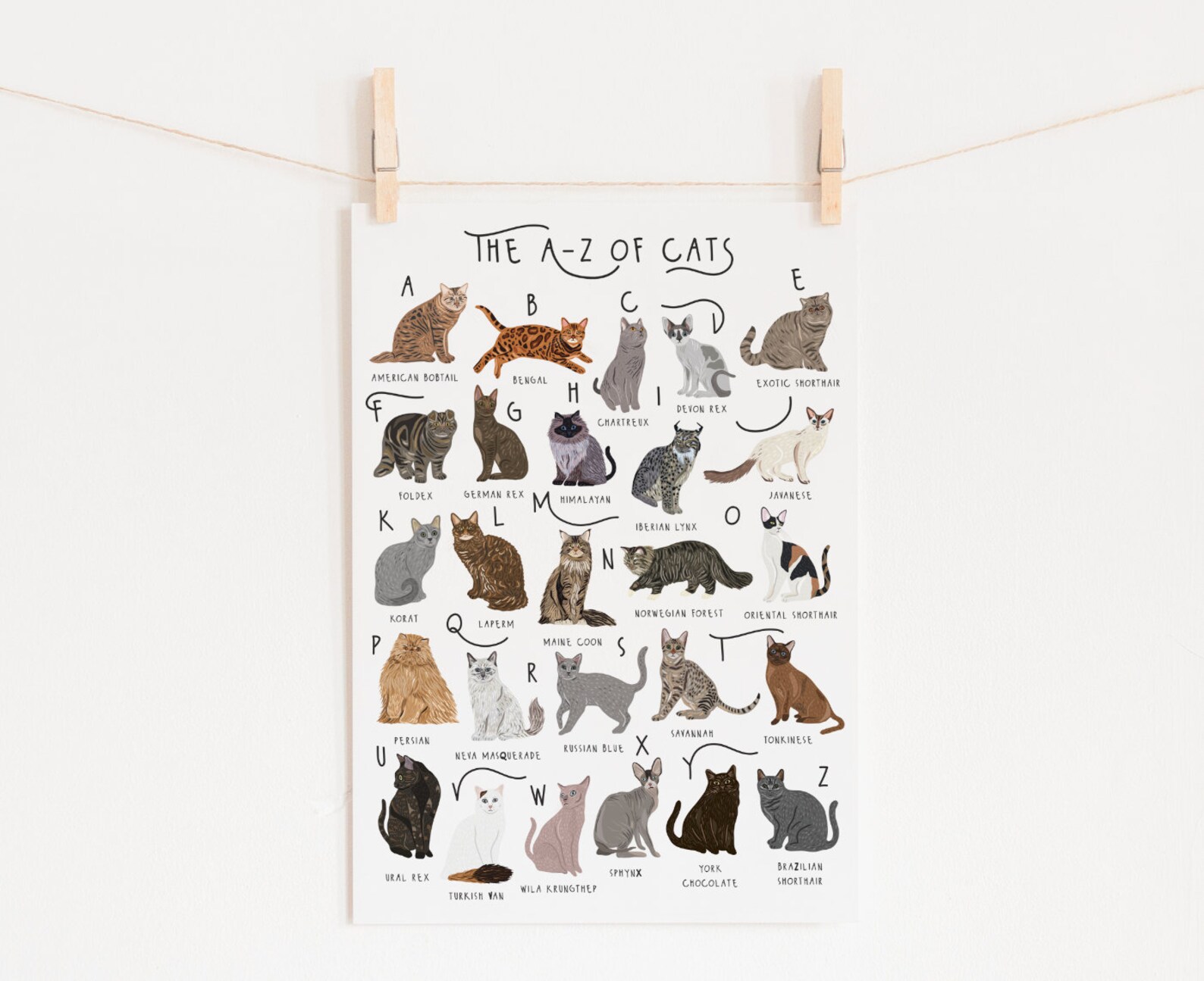 A-Z of Cats Poster, Cats Alphabet, Cat Poster Illustration, Pet ...