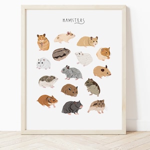 Hamsters Poster, Hamsters Illustration, Pet hamsters, Hamsters lover gift, little girls wall art, pet portraits, hamster art, hamsters print