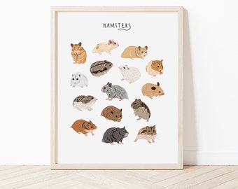 May include: A white printable poster with the word "HAMSTERS" at the top and illustrations of 16 different hamsters in various colours and patterns.