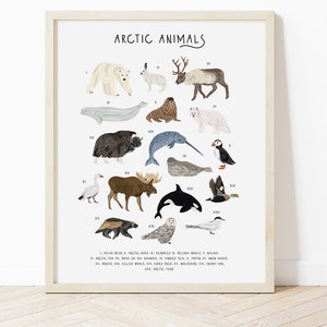 Arctic Animals Poster, Nursery Wall Art, Animal Poster, Arctic Animals, Cute animal print, Winter Animals poster, New baby gift, Animals