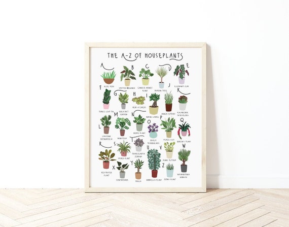 A-Z of Houseplants, Plant poster, House Plants print, Alphabet Print, Plant lovers gift, Types of house plant, New home gift, Plant Poster