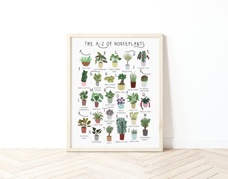 A-Z of houseplants poster, houseplants alphabet, colourful houseplant poster, plant lovers gift