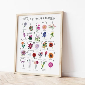 May include: A framed print titled "The A-Z of Garden Flowers" displays colourful illustrations of various flowers, each labelled with a letter of the alphabet. The artwork is set against a white background, with a light wood frame.