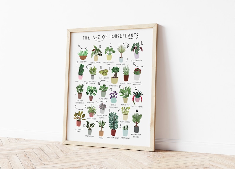 以下が含まれることがあります： 「The A-Z of Houseplants」というタイトルの黒い額縁が付いた白いポスター。ポスターには、それぞれの名前が下に書かれた観葉植物のアルファベットがイラストで描かれている。