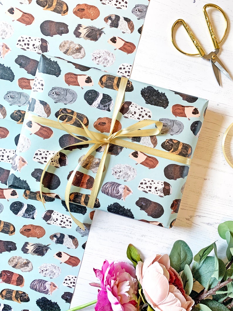 Guinea pig facts picture