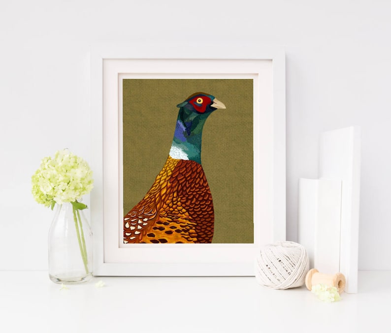 May include: A colorful illustration of a pheasant with a green, blue, and red head and a brown, orange, and white body. The pheasant is set against a green background.