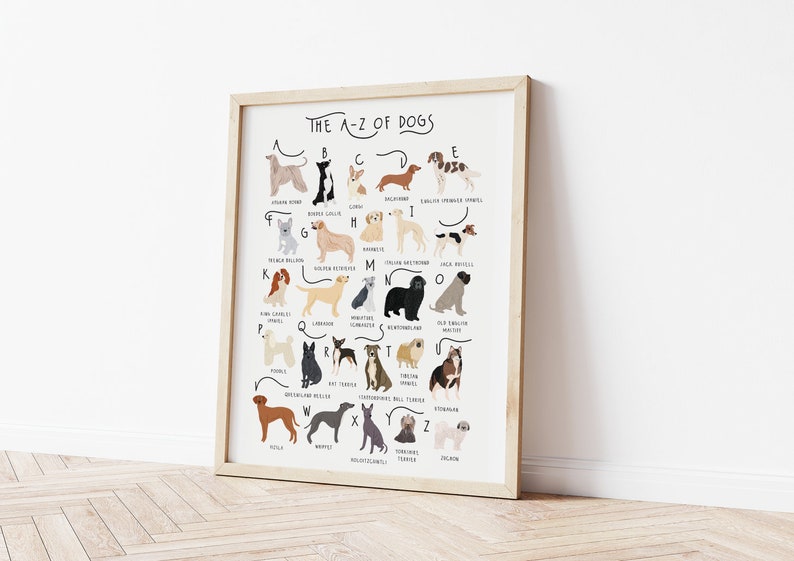 A-Z of Dogs Poster, Dogs Alphabet, Dog Poster Illustration, Pet Illustration, Dog Lovers Gift, Dog Poster, Dog Print, Dog Breeds Chart, Dogs image 3