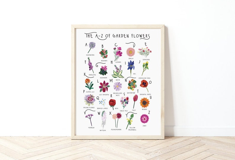 A-Z of garden flowers print, floral poster, floral alphabet, garden flowers poster, colourful flowers