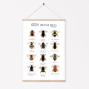 Great British Bees, Bumblebee Print, Affiche dabeille, Carte didentification des abeilles, Abeilles britanniques, Empreinte dinsectes, Types dabeilles, Impression dhistoire naturelle image 3