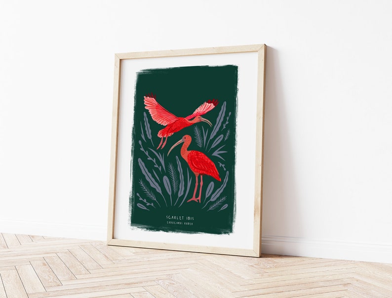 Scarlet Ibis Print, Bird Illustration, Bird Poster, Bird lovers gift, Scarlet Ibis Illustration, New home gift, Bird gift, Illustrated Birds image 2