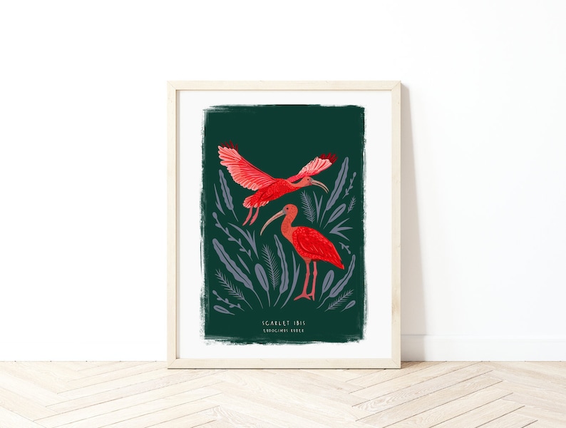 Scarlet Ibis Print, Bird Illustration, Bird Poster, Bird lovers gift, Scarlet Ibis Illustration, New home gift, Bird gift, Illustrated Birds image 1