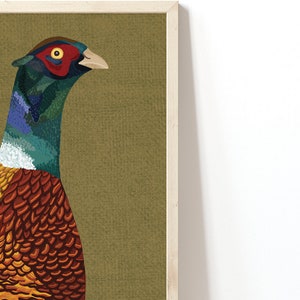 May include: A close-up of a pheasant with a green, blue, and white head and neck. The pheasant's body is covered in orange and brown feathers.