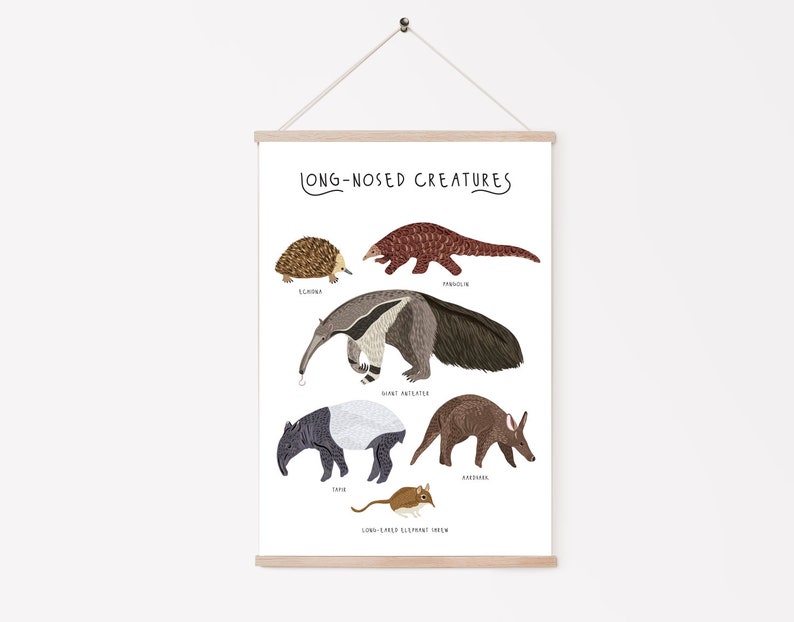 Póster de criaturas de nariz larga, impresión de pangolín, impresión de oso hormiguero, impresiones de animales, arte de pared para guardería, decoración de habitación infantil, póster de animales lindos, criaturas imagen 2