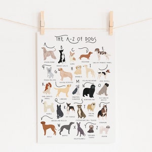 A-Z of Dogs Poster, Dogs Alphabet, Dog Poster Illustration, Pet Illustration, Dog Lovers Gift, Dog Poster, Dog Print, Dog Breeds Chart, Dogs image 6