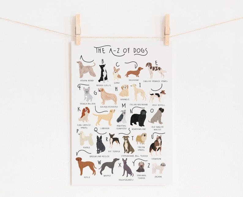 A-Z of Dogs Poster, Dogs Alphabet, Dog Poster Illustration, Pet Illustration, Dog Lovers Gift, Dog Poster, Dog Print, Dog Breeds Chart, Dogs image 6