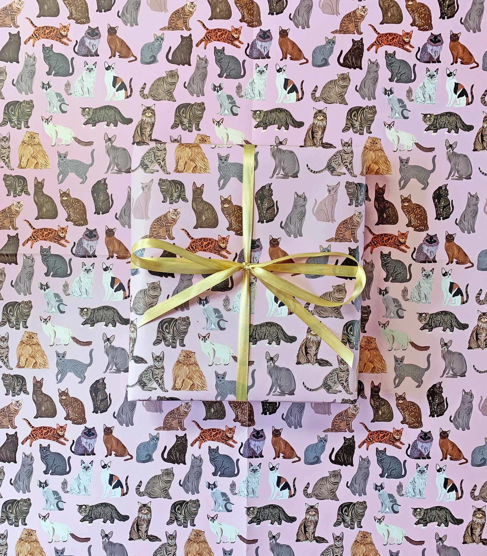 Cat Wrapping Paper Cat Print Wrap Cute Cat Gift Wrap Etsy UK