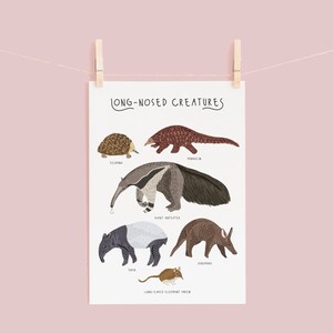 Póster de criaturas de nariz larga, impresión de pangolín, impresión de oso hormiguero, impresiones de animales, arte de pared para guardería, decoración de habitación infantil, póster de animales lindos, criaturas imagen 3