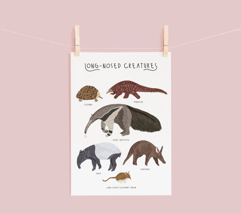Póster de criaturas de nariz larga, impresión de pangolín, impresión de oso hormiguero, impresiones de animales, arte de pared para guardería, decoración de habitación infantil, póster de animales lindos, criaturas imagen 3