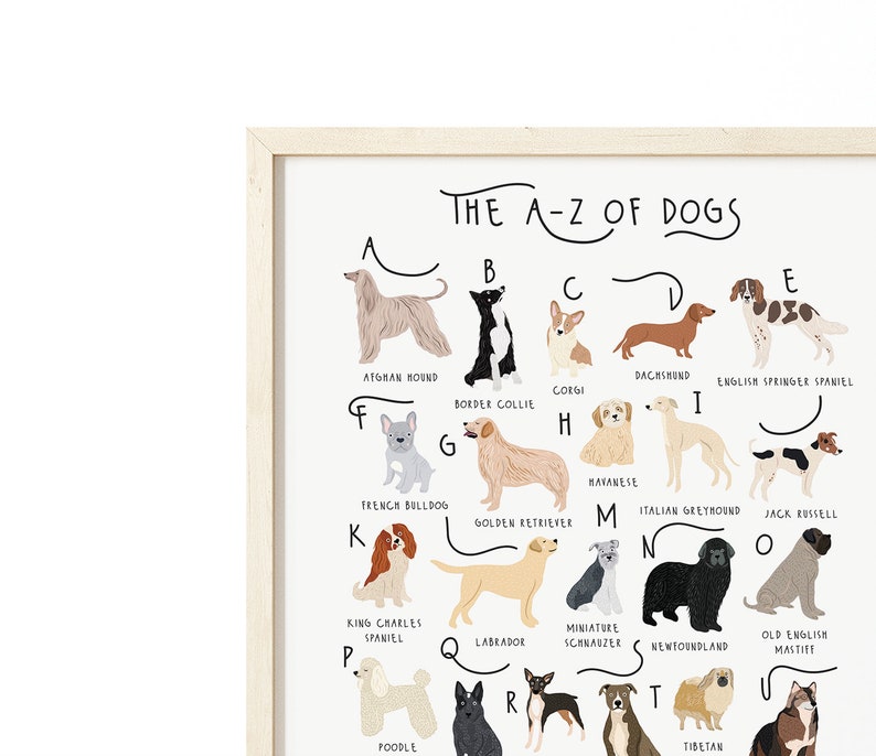 A-Z of Dogs Poster, Dogs Alphabet, Dog Poster Illustration, Pet Illustration, Dog Lovers Gift, Dog Poster, Dog Print, Dog Breeds Chart, Dogs image 4
