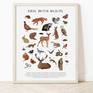 Rural British Wildlife Print, British Wildlife poster, Wildlife Print, Animal poster, British animals poster, Animal lovers gift art