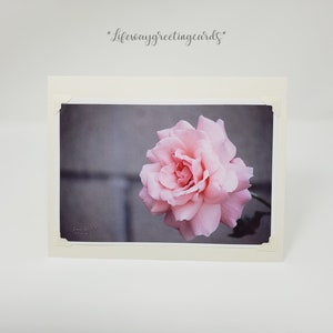 Pink Hybrid Tea Rose ~ Blank Card