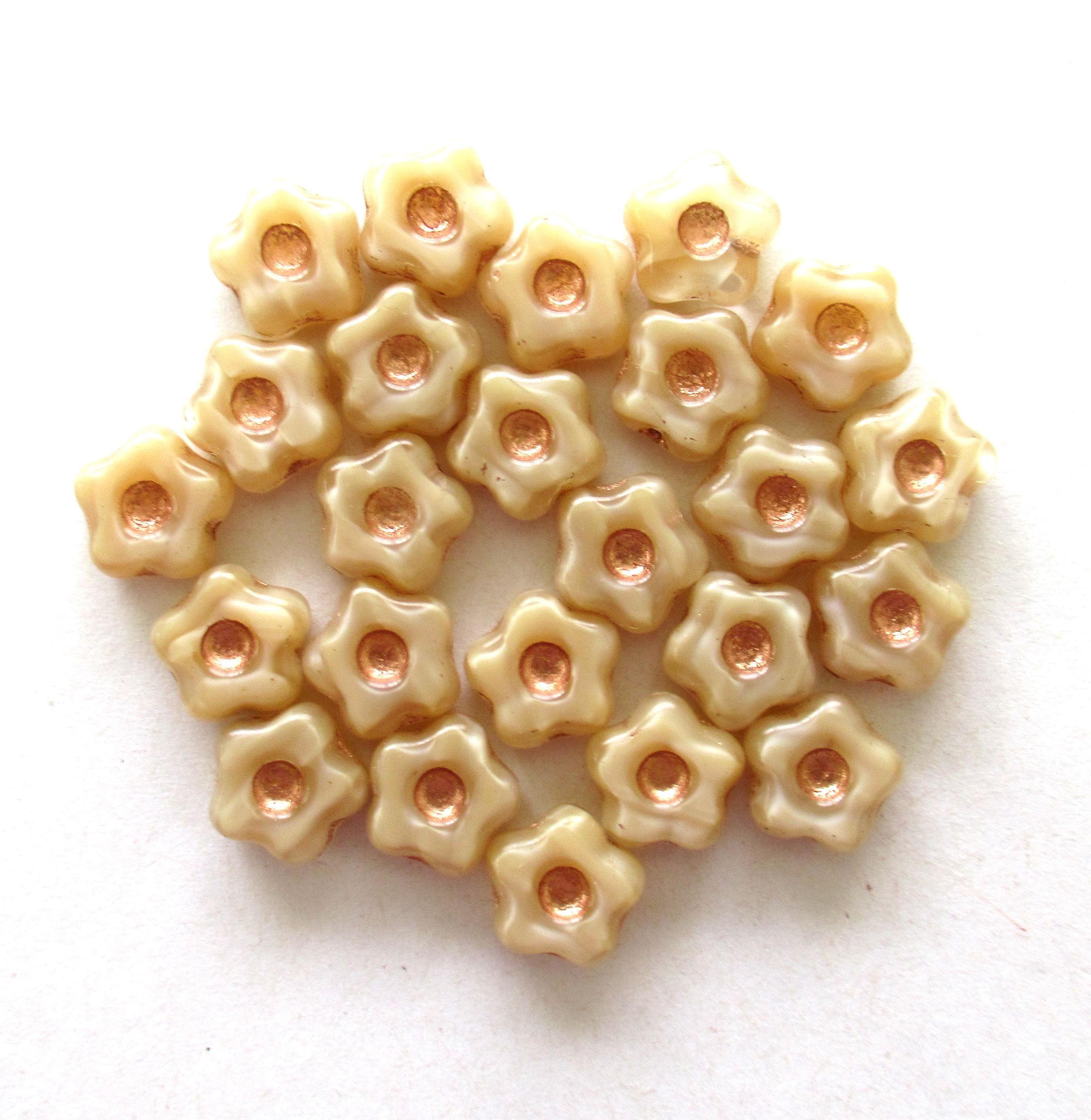 Czech glass flower beads - 11mm -  silky cream / off white / beige flower or star beads with copper accents - 15 pieces -  C00831