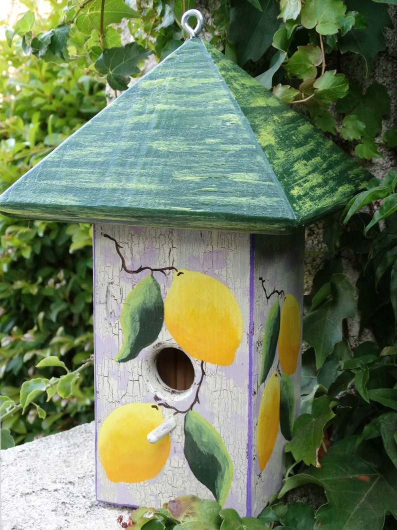 Lemon Bird Abode Painted Handmade Wooden Bird House Etsy