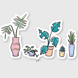 May include: Five potted plants with different types of leaves and colorful pots. The plants are arranged in a row, with the tallest plant on the left and the shortest plant on the right. The plants are all in different colored pots, including pink, orange, blue, and yellow. The plants are 1.7 inches tall and 2.9 inches wide.