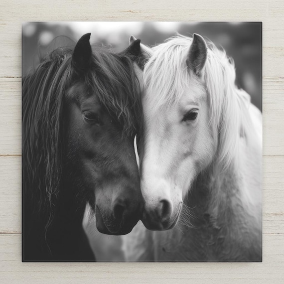 Black White Horses Ceramic Tile Wall Art - Equestrian Rustic Farmhouse Home Decor Western Gift