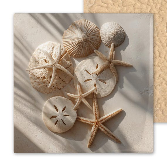 Starfish Sand Dollars Ceramic Tile Art - Ivory and Tan Coastal Decor - Beach Shell Tile for Nautical Wall, Ocean Bathroom, or Shore Home