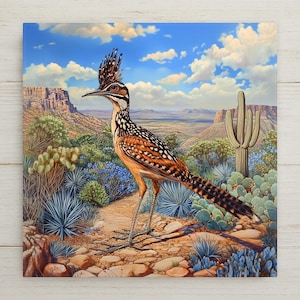 May include: A square wall art print featuring a detailed illustration of a roadrunner standing on a rocky desert path. The bird has a prominent crest, brown and white speckled feathers, and a long tail. The background shows a saguaro cactus.