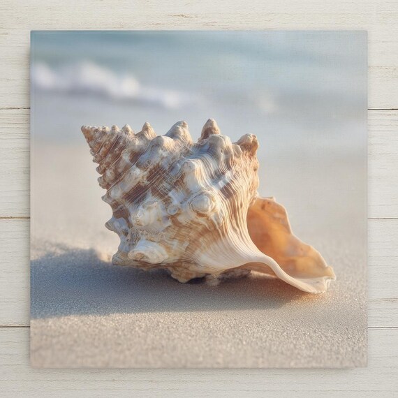 Seashell Ceramic Tile Wall Decor – Coastal Beach Home Decor, Nautical Shell Art, Ocean Inspired Wall Art Gift