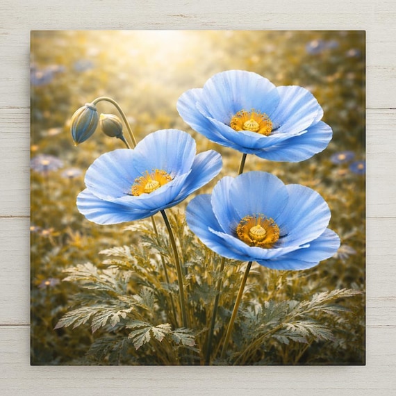 Himalayan Blue Poppy Wall Art Ceramic Tile – Botanical Cottagecore Floral Home Decor Gift
