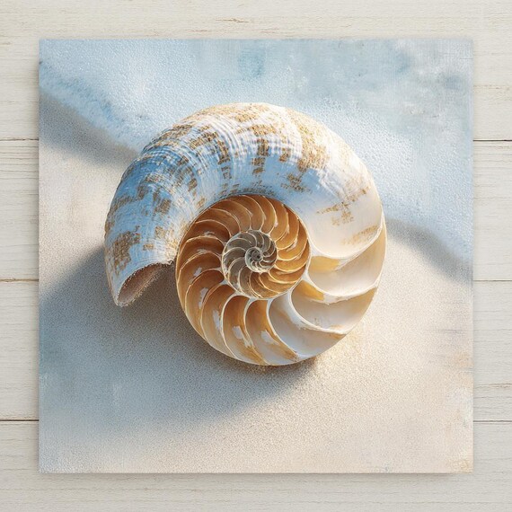 Nautilus Shell Ceramic Tile Wall Art - Coastal Beach Ocean Home Decor Minimal Design