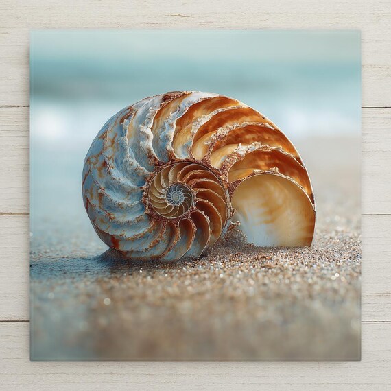 Seashell Coastal Wall Art Ceramic Tile – Nautilus Shell Beach Scene, Nature Inspired Home Decor