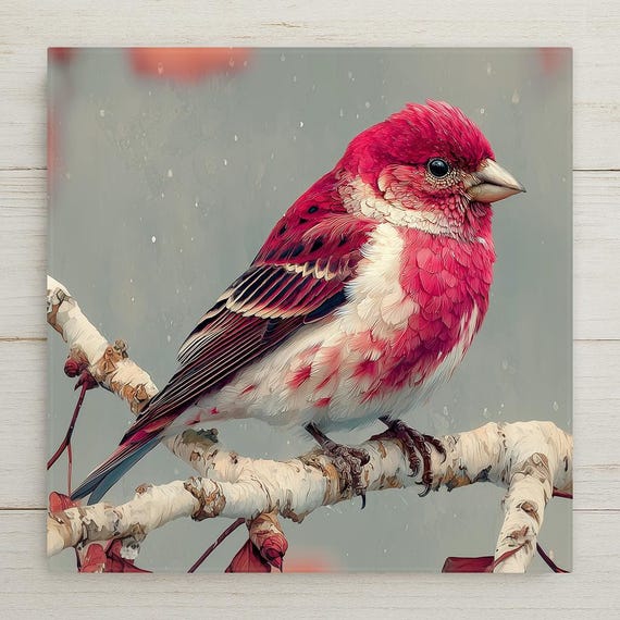Purple Finch Wall Art Ceramic Tile State Bird Gift New Hampshire Vermont Birdwatcher Nature Place Identity Art