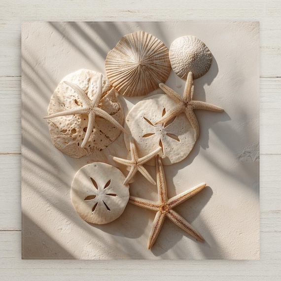 Coastal Ceramic Tile Art: Starfish & Sand Dollar Beach Decor