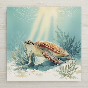 May include: A square wall art print featuring a sea turtle swimming through clear turquoise water. The turtle has a patterned brown and tan shell with detailed flippers. Sunlight rays filter down from the surface above, illuminating the turtle.
