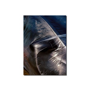 Photo on metal | 60x80cm | Sealed Car |