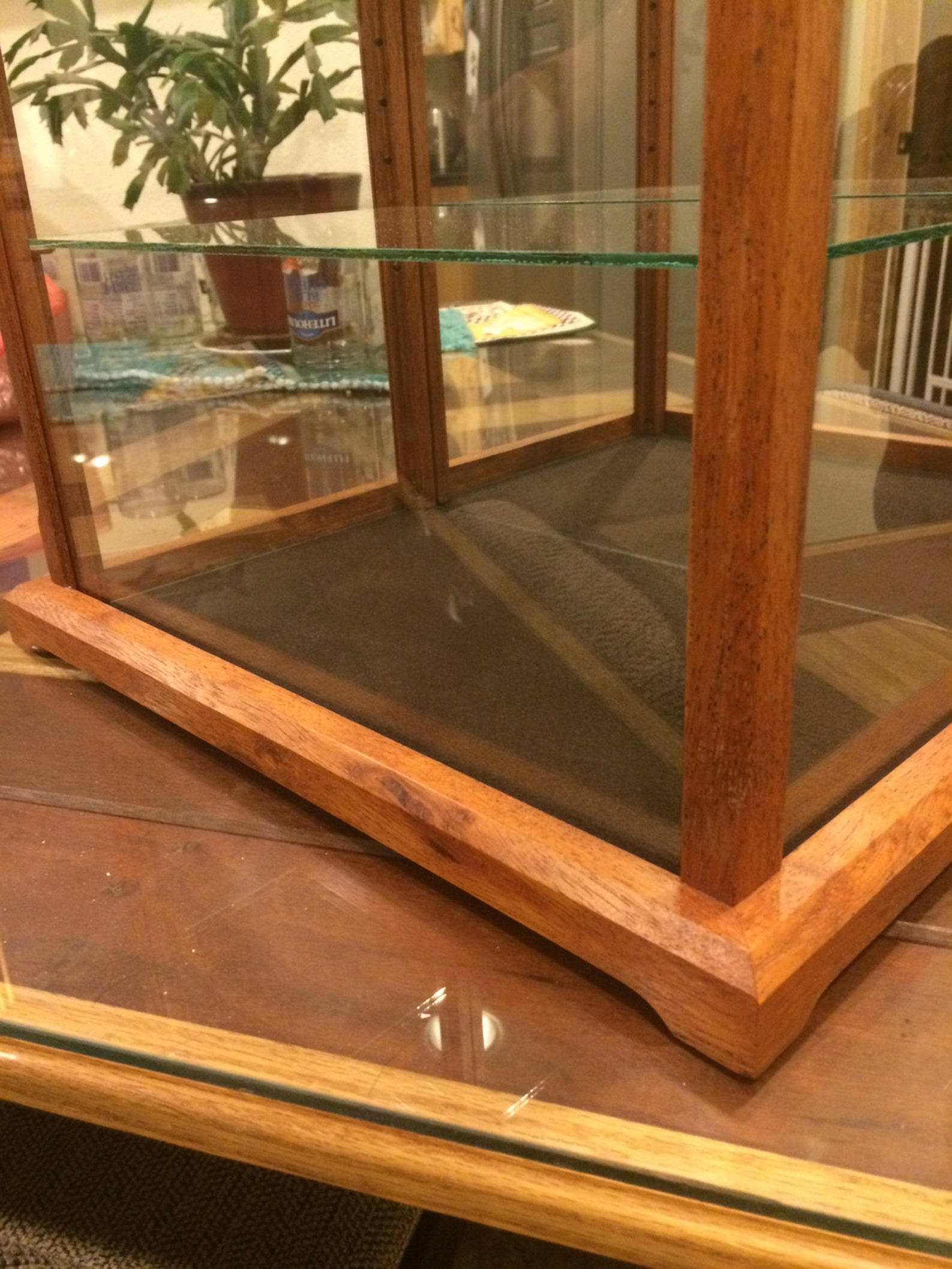 Wood and Glass Display Case for Miniatures, Models, Crystal Figurines