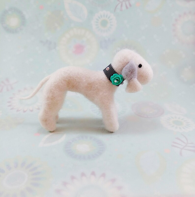 bedlington terrier teddy