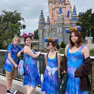 Hidden Mickey Pixiedust in Dresses and Shirts