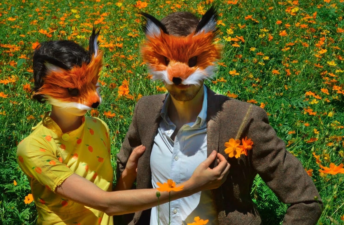 Fantastic Mr Fox Dress Etsy