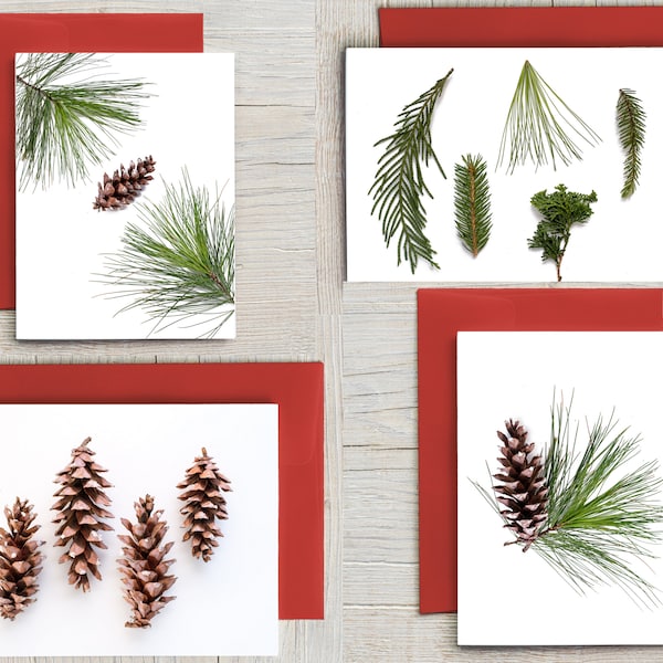 Nature Christmas Card Variety Packs (5+ card options), Holiday Cards, Blank Holiday Cards, Evergreen Cards, Pinecone Cards