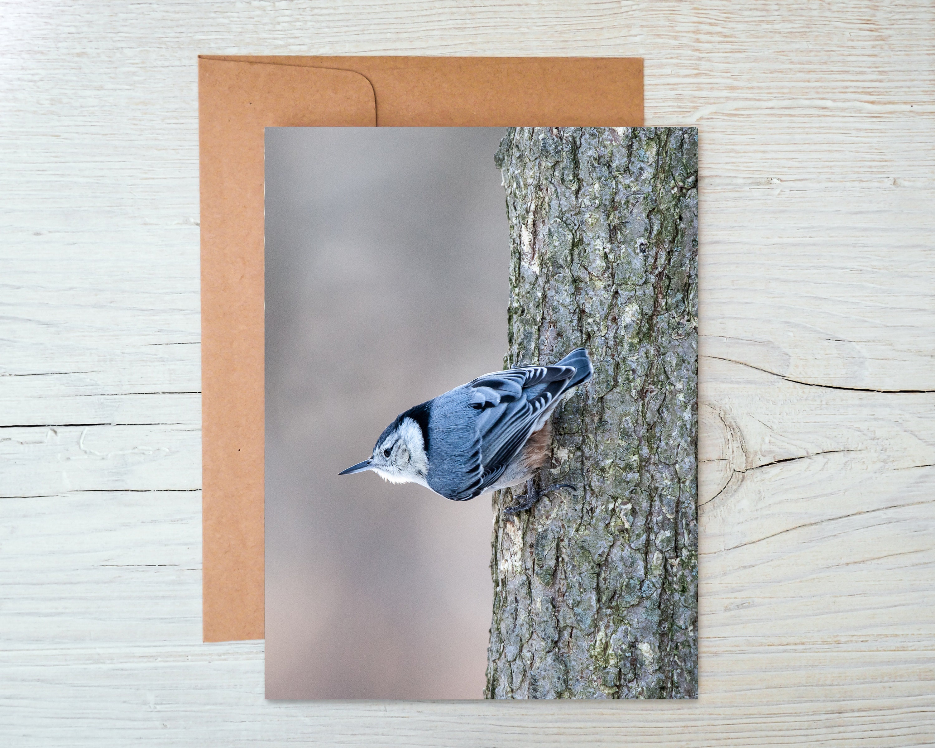 Birding Rack Card Bird Card, Birding Card, Nature Stationary, Bird Stationary (white ...
